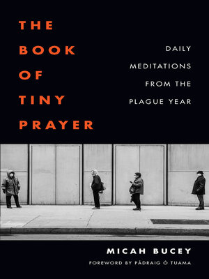 cover image of The Book of Tiny Prayer